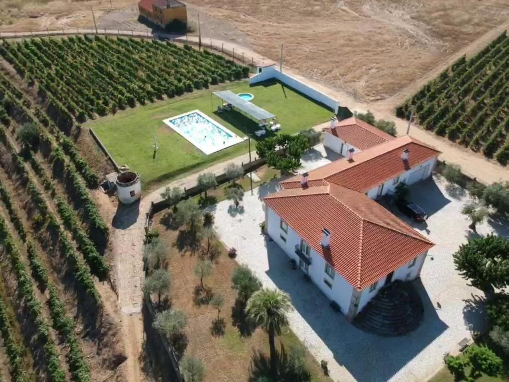 Quinta Sta Luzia Carrascal Villa Vila Flor Luaran gambar