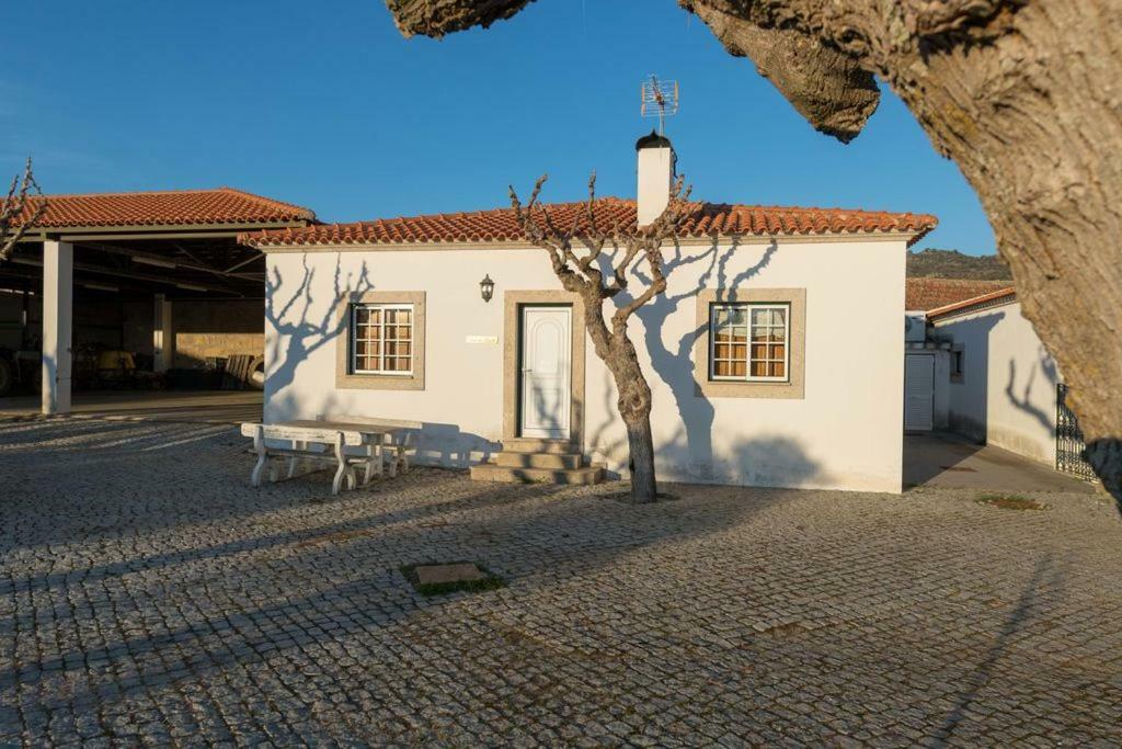 Quinta Sta Luzia Carrascal Villa Vila Flor Luaran gambar